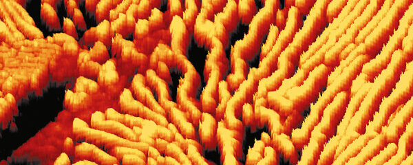 Atomic Force Microscopy