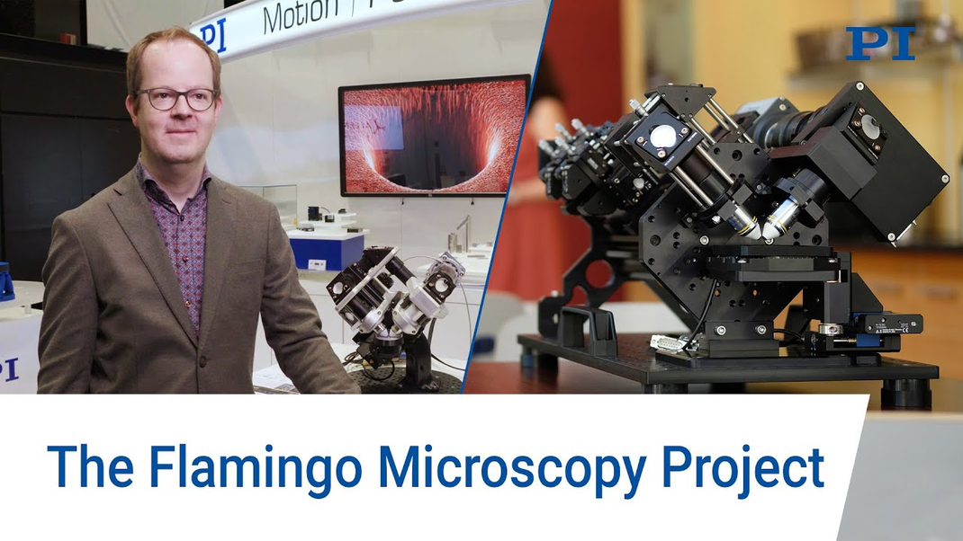 The Flamingo Microscopy Project: Interview with Prof. Jan Huisken
